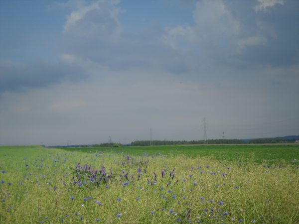 Autor Zdjęcia Mariusz Jasłowski - Meteo24