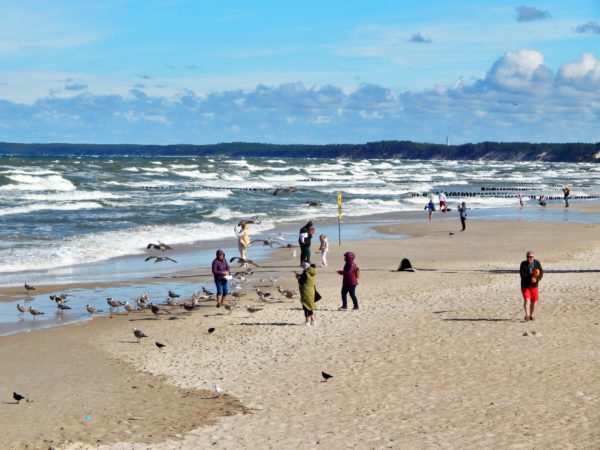 Autor Zdjęcia Mariusz Jasłowski - ( Meteo24 ) 