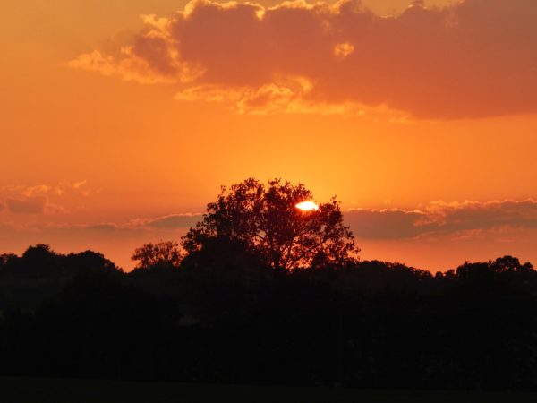 Autor Zdjęcia Mariusz Jasłowski - ( Meteo24 ) 