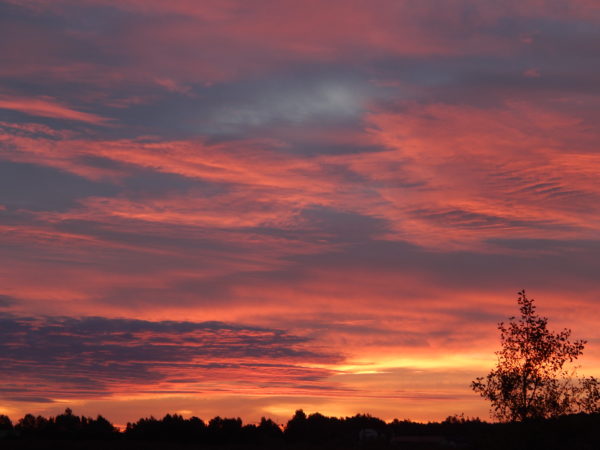 Autor Zdjęcia Mariusz Jasłowski - ( Meteo24 ) 