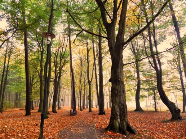 Autor Zdjęcia Mariusz Jasłowski - ( Meteo24 ) 