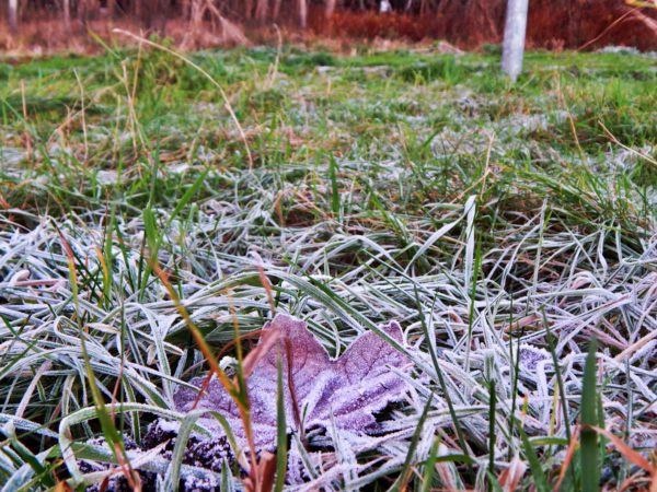 Autor Zdjęcia Mariusz Jasłowski - ( Meteo24 ) 