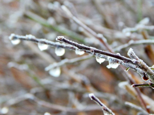 Autor Zdjęcia Mariusz Jasłowski - ( Meteo24 ) 