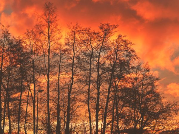 Autor Zdjęcia Mariusz Jasłowski - ( Meteo24 ) 