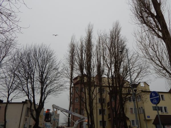 Autor Zdjęcia Mariusz Jasłowski - ( Meteo24 )
