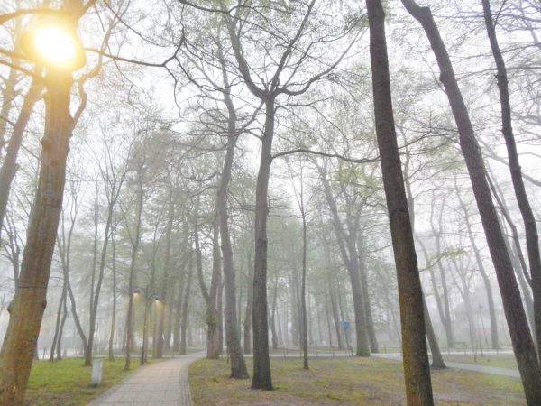 Autor Zdjęcia Mariusz Jasłowski - ( Meteo24 )