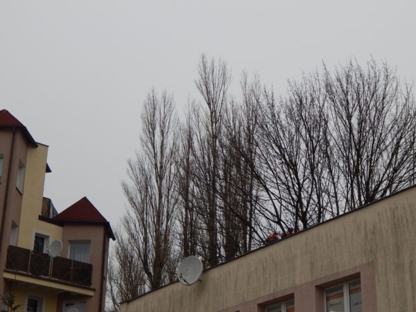Autor Zdjęcia Mariusz Jasłowski - ( Meteo24 )