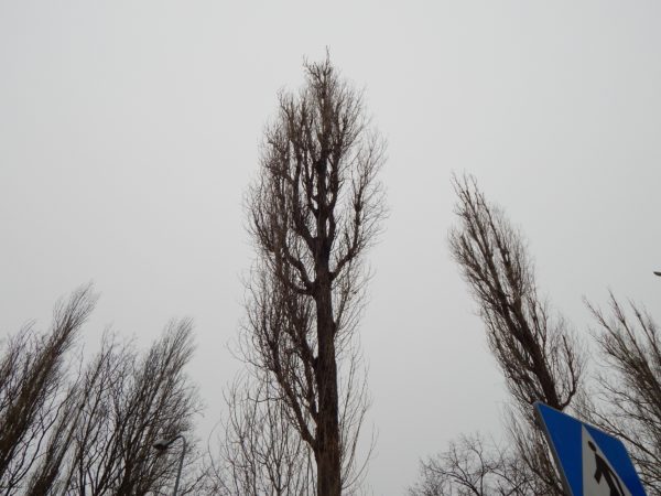 Autor Zdjęcia Mariusz Jasłowski - ( Meteo24 )