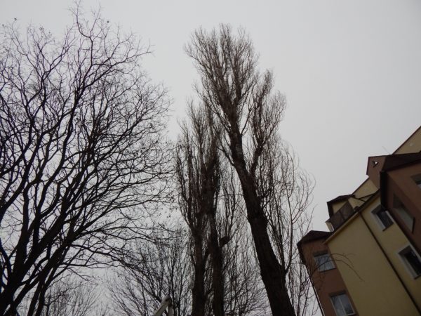 Autor Zdjęcia Mariusz Jasłowski - ( Meteo24 )