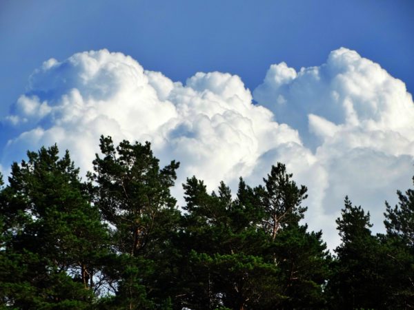 Autor Zdjęcia Mariusz Jasłowski - ( Meteo24 ) 