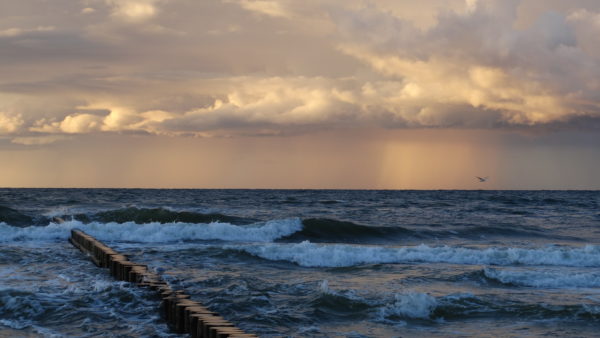 Autor Zdjęcia Mariusz Jasłowski - ( Meteo24 )