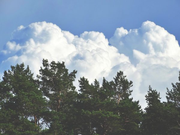 Autor Zdjęcia Mariusz Jasłowski - ( Meteo24 ) 