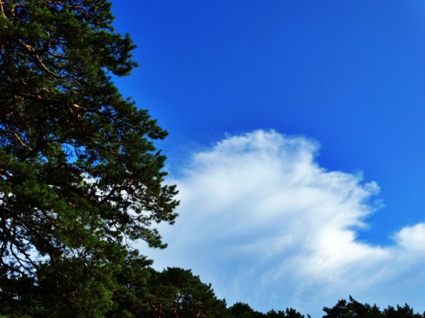 Autor Zdjęcia Mariusz Jasłowski - ( Meteo24 ) 