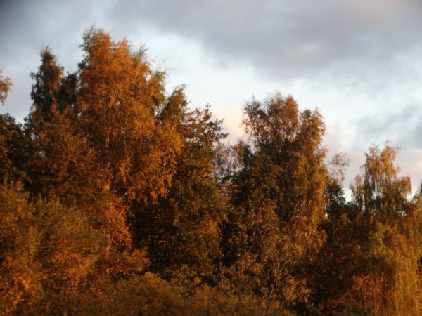 Autor Zdjęcia Mariusz Jasłowski - ( Meteo24 ) 