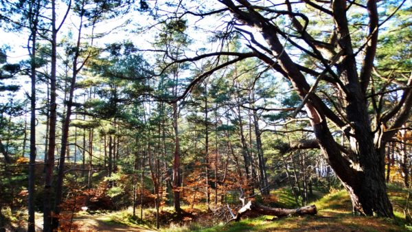 Autor Zdjęcia Mariusz Jasłowski - ( Meteo24 ) 