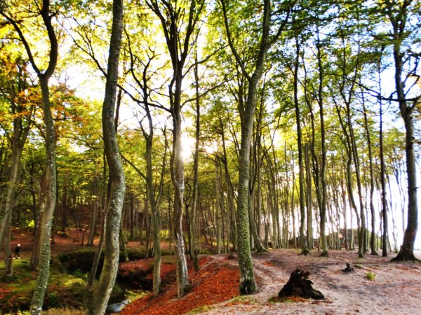Autor Zdjęcia Mariusz Jasłowski - ( Meteo24 ) 
