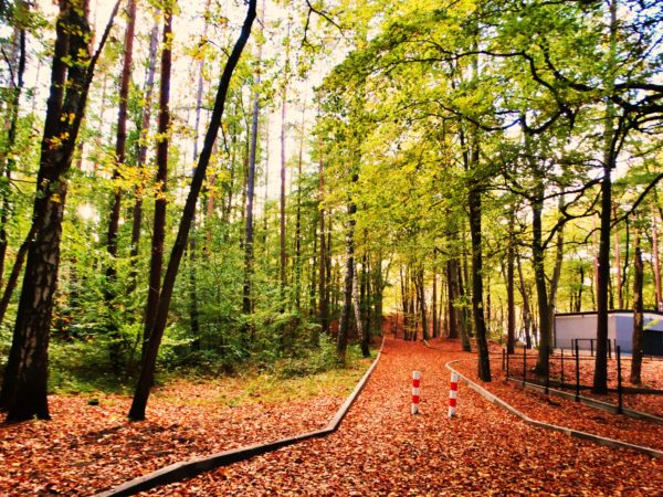 Autor Zdjęcia Mariusz Jasłowski - ( Meteo24 ) 