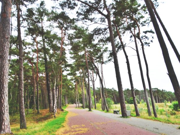 Autor Zdjęcia Mariusz Jasłowski - ( Meteo24 )