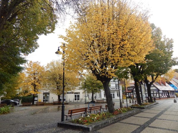 Autor Zdjęcia Mariusz Jasłowski - ( Meteo24 ) 