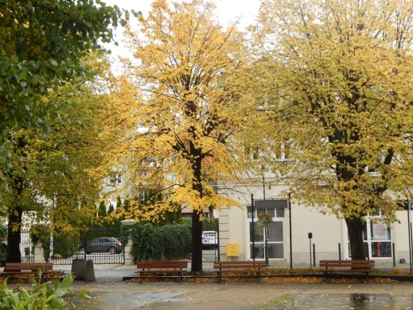 Autor Zdjęcia Mariusz Jasłowski - ( Meteo24 ) 