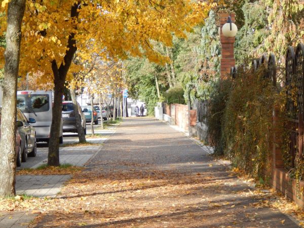 Autor Zdjęcia Mariusz Jasłowski - ( Meteo24 ) 