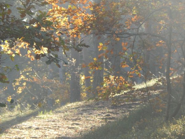 Autor Zdjęcia Mariusz Jasłowski - ( Meteo24 ) 
