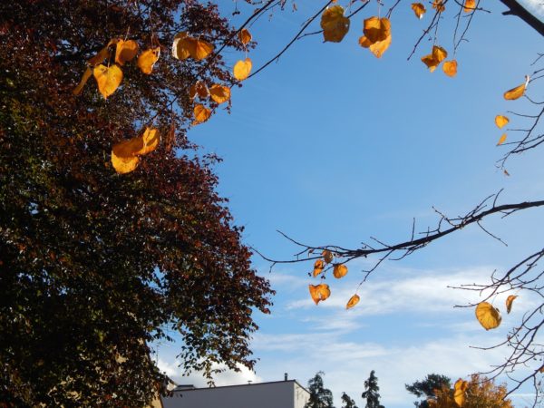 Autor Zdjęcia Mariusz Jasłowski - ( Meteo24 ) 