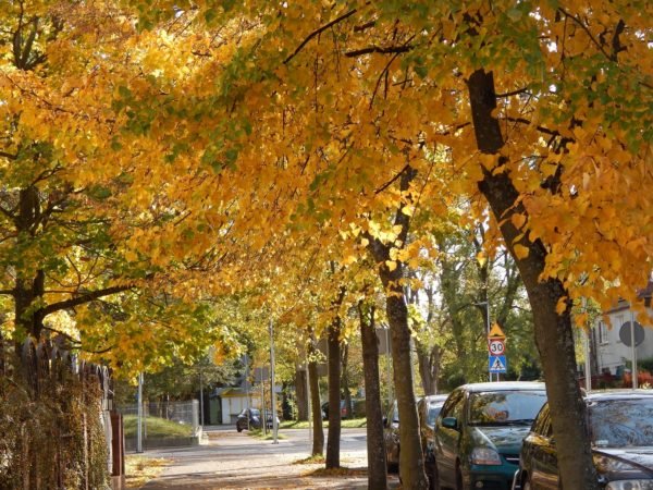 Autor Zdjęcia Mariusz Jasłowski - ( Meteo24 ) 