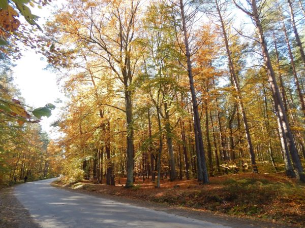 Autor Zdjęcia Mariusz Jasłowski - ( Meteo24 ) 