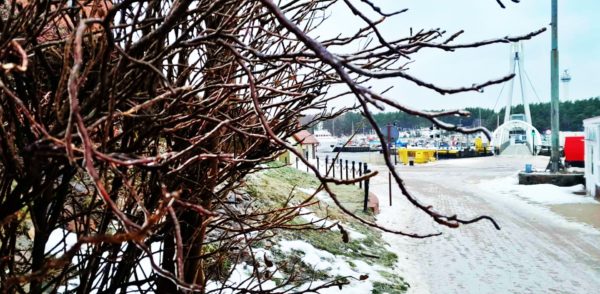 Autor Zdjęcia Mariusz Jasłowski - ( Meteo24 ) 