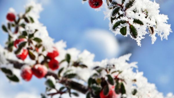 Autor Zdjęcia Mariusz Jasłowski - ( Meteo24 ) 