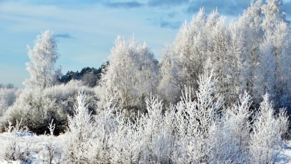 Autor Zdjęcia Mariusz Jasłowski - ( Meteo24 ) 