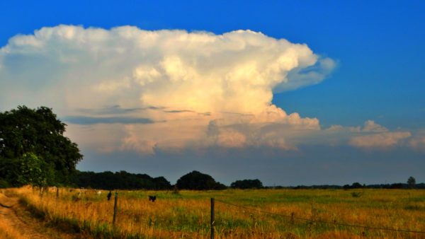 Autor Zdjęcia Mariusz Jasłowski - ( Meteo24 ) 